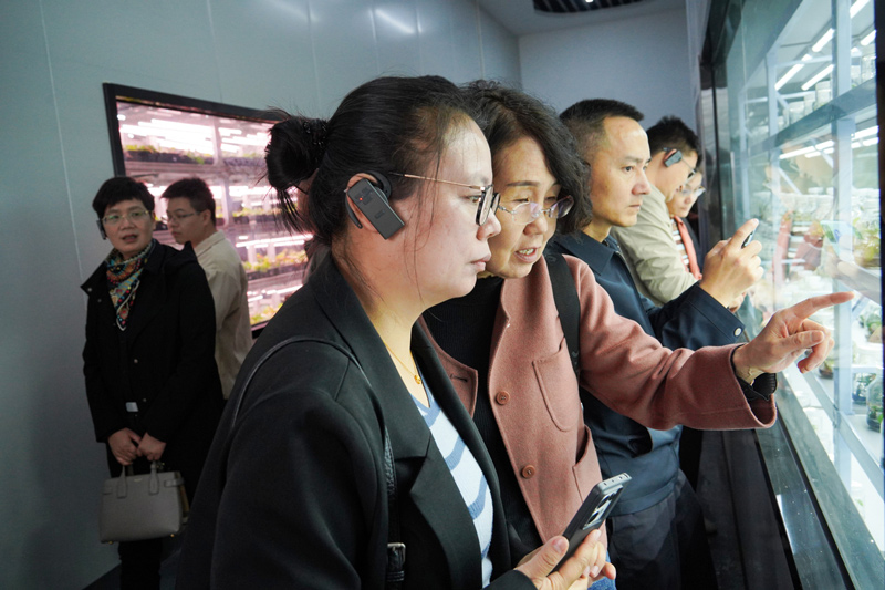 專家在文成農康院種質資源圃觀摩。夏林艷攝