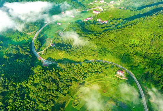 旅游快速通道直通大別山深處。六安市交通運輸局供圖