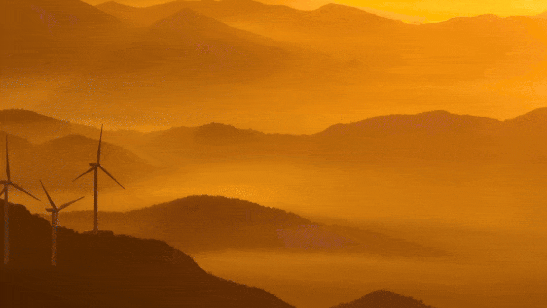 浙江寧海。寧?？h委宣傳部供圖