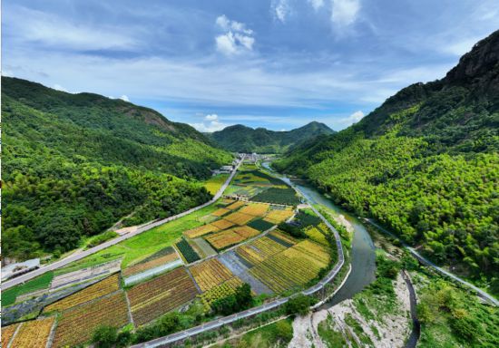 夏日的智仁鄉。沈沁澤攝