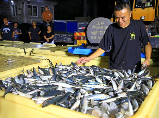 漁民忙著將大量海鮮卸載分揀、保鮮運送。段俊利攝
