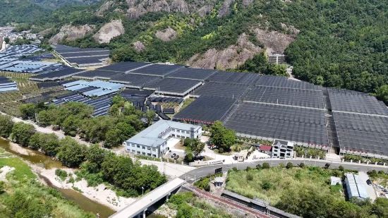 共富大棚。周洪石攝